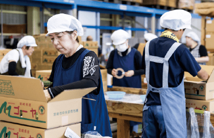 工場内で作業員が箱詰め作業を行っている様子。